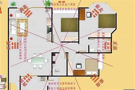 坐西朝东财位|大门朝西财位在哪里？坐西朝东房子财位摆放位置解析